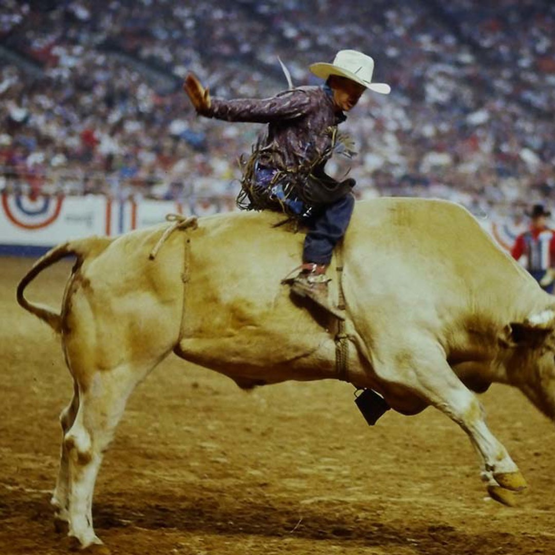 Bulldogging Rodeo Bodacious, the baddest bull of them all, and a champion bull rider will ...