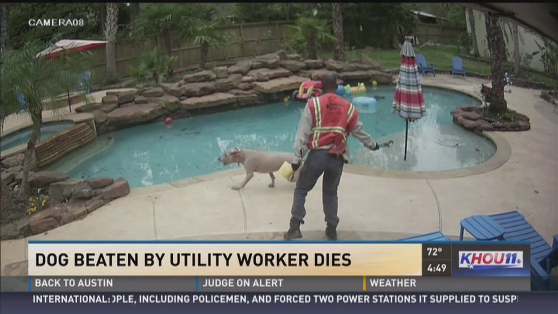 Dog beaten by CenterPoint contractor dies | khou.com
