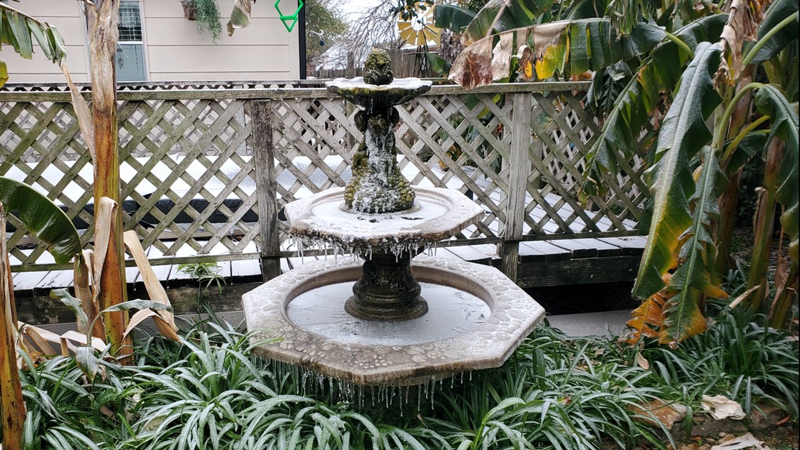 Houston arctic blast review - Vimarsana News
