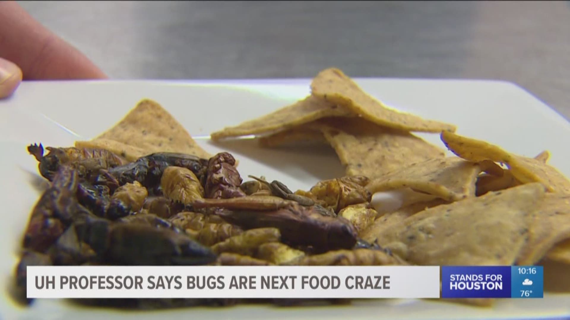 A UH professor believes insects are the next food craze with health benefits.