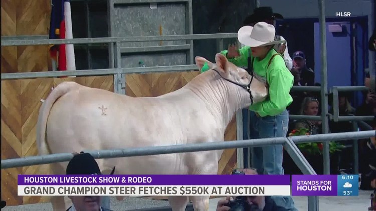Grand champion steer named at RodeoHouston, sold for more than $500K