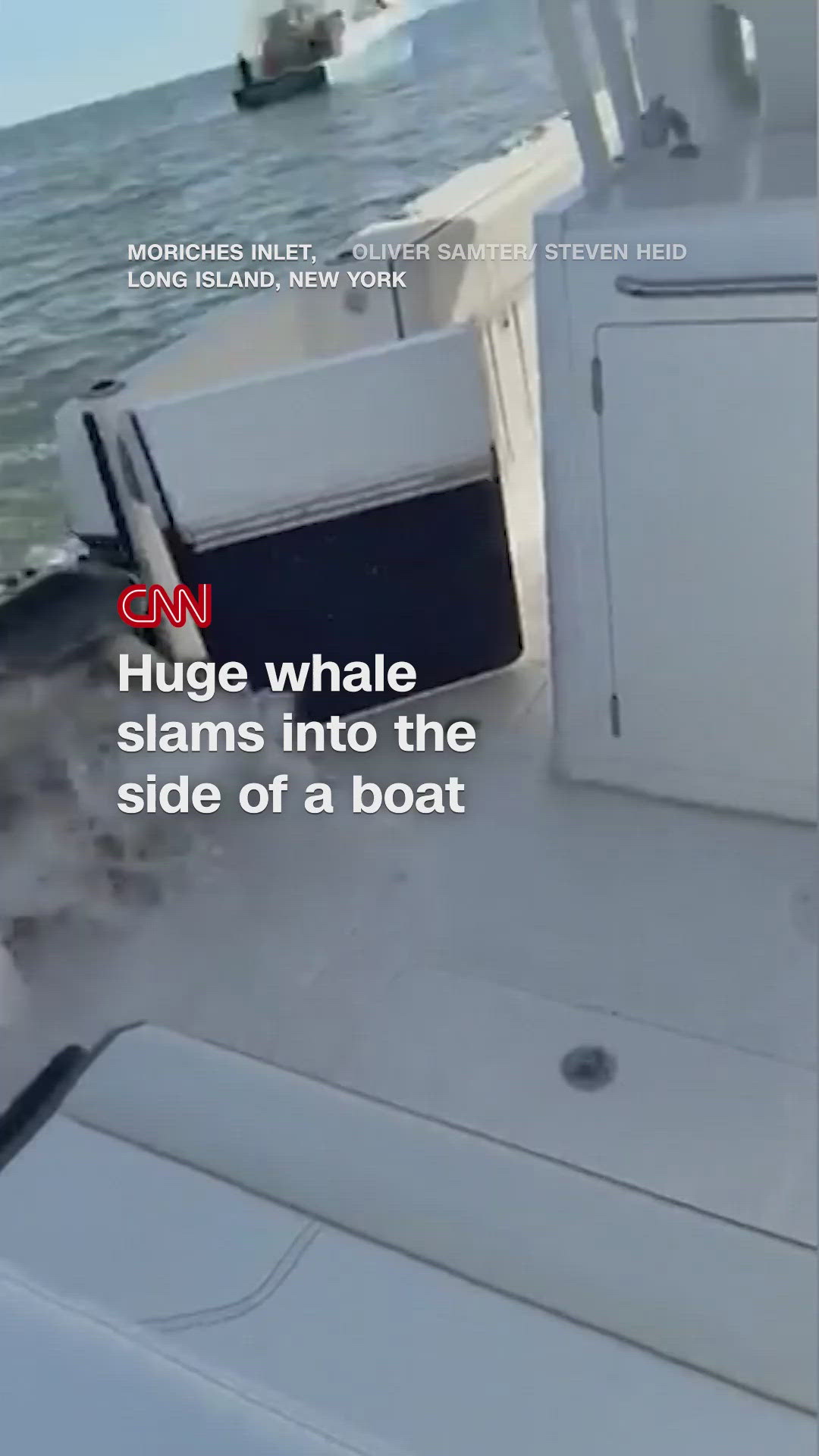 Video captures huge whale slamming into fishing boat off Long Island ...