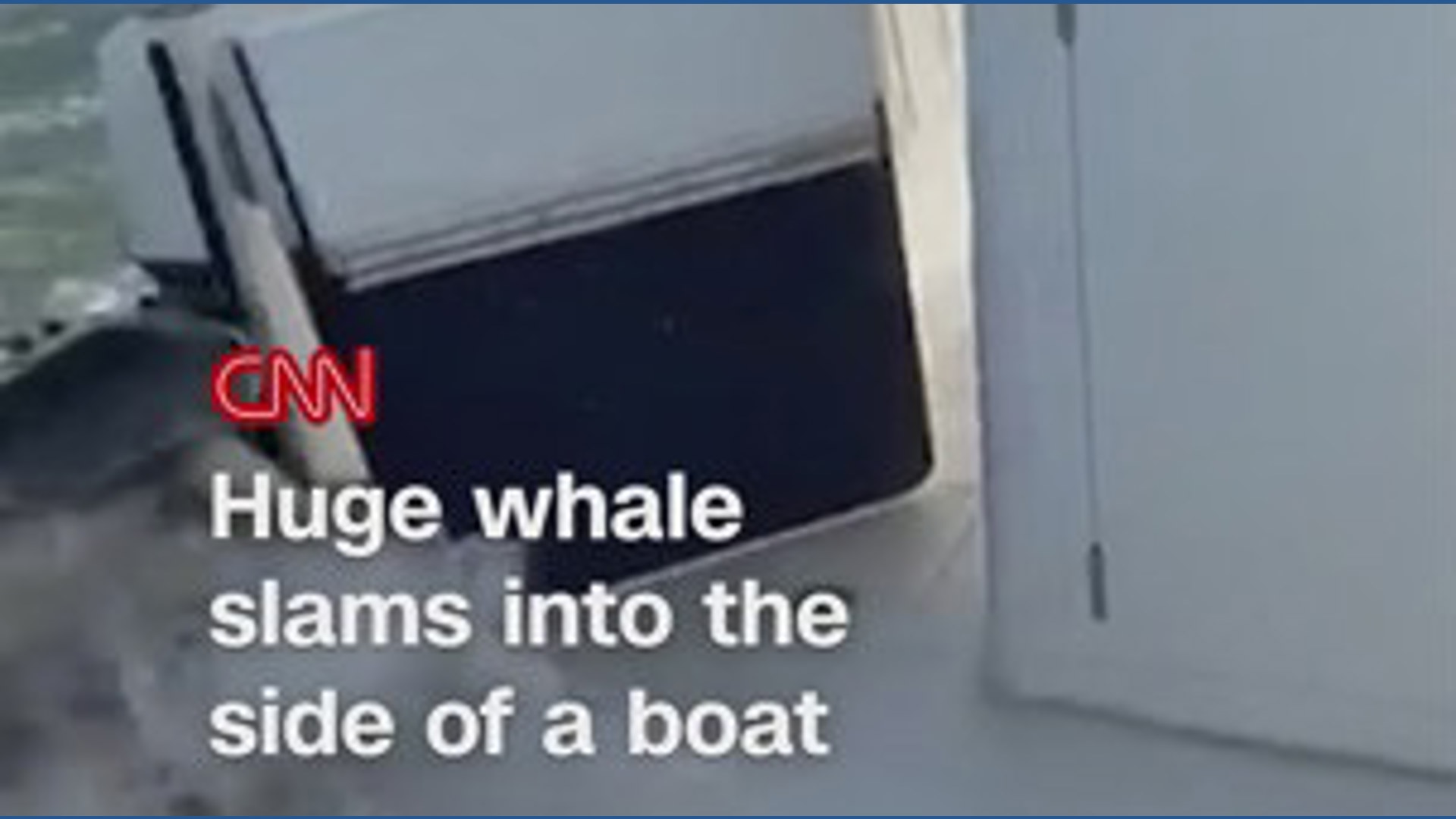Video captures huge whale slamming into fishing boat off Long Island ...