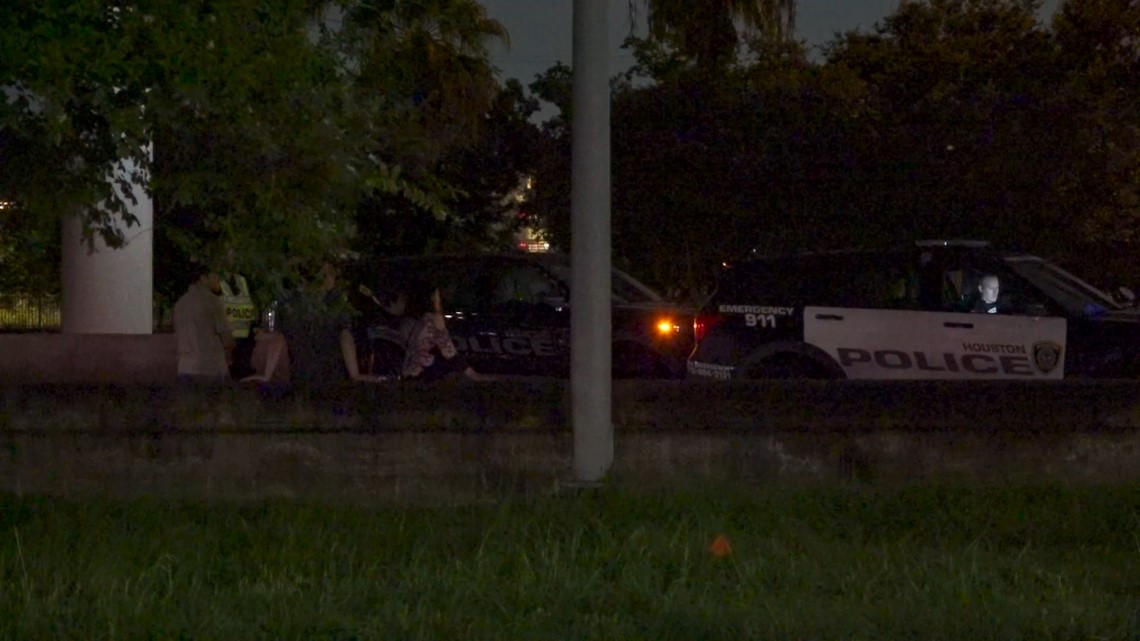 Houston, Texas traffic: Man and dog killed crossing Gulf Freeway | khou.com