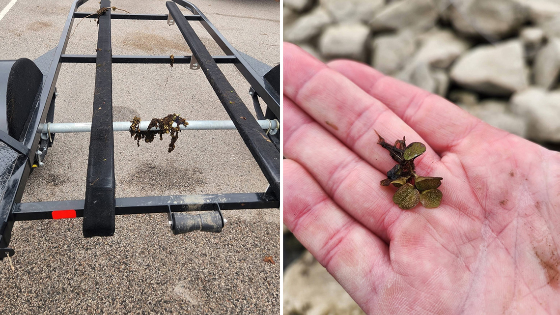 Texas Game Wardens have a warning after what was found on boater's trailer