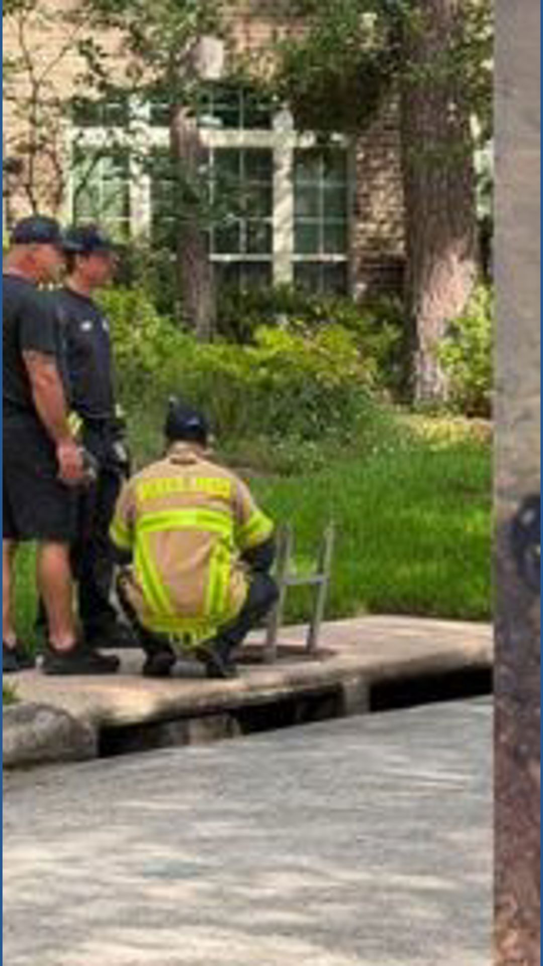 Khou Weather A ‘quack’-tastic rescue: Firefighters save ducklings in The Woodlands ...
