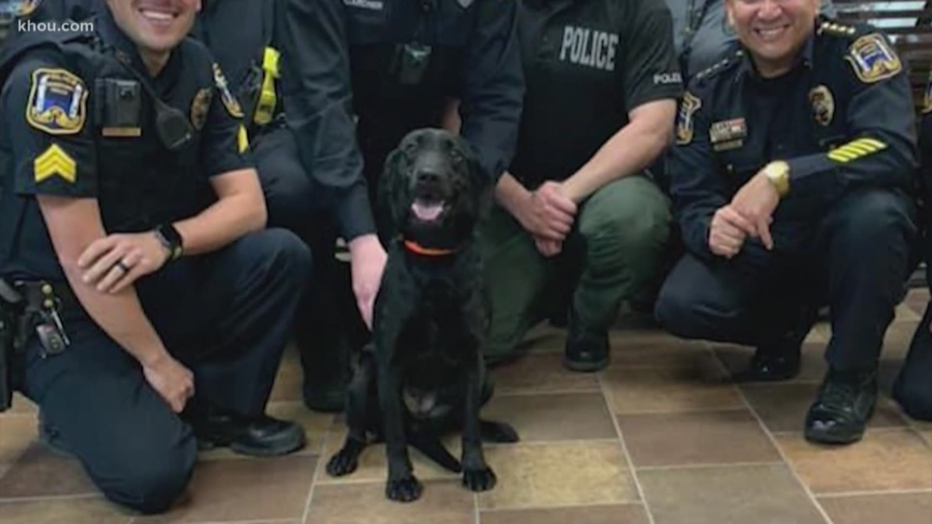 Freeport Police Department has a new member of the team, and he is keeping the legacy of Officer Abigail Arias alive.