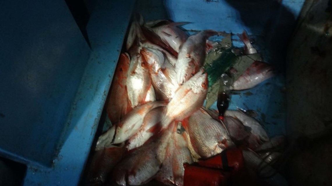 350 pon ikan yang ditangkap secara ilegal disita di lepas pantai Texas