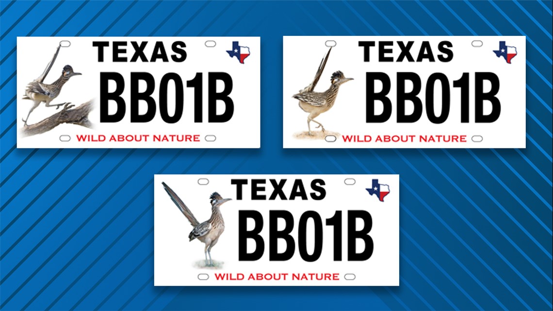 Departemen Taman dan Margasatwa Texas mencari masukan tentang desain pelat nomor khusus