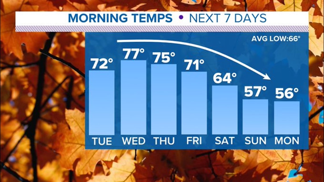 The colder the better”: Early forecast signals frigid temperatures