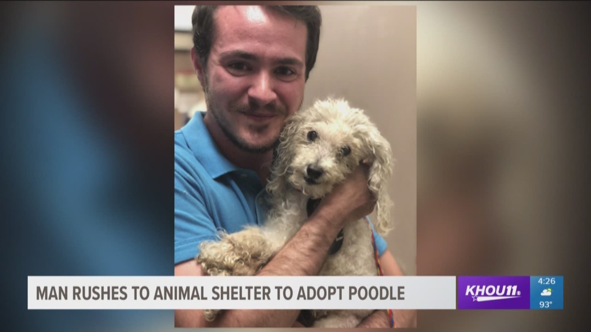 It was love at first sight this week for a Houston-area man and his new furry friend.
