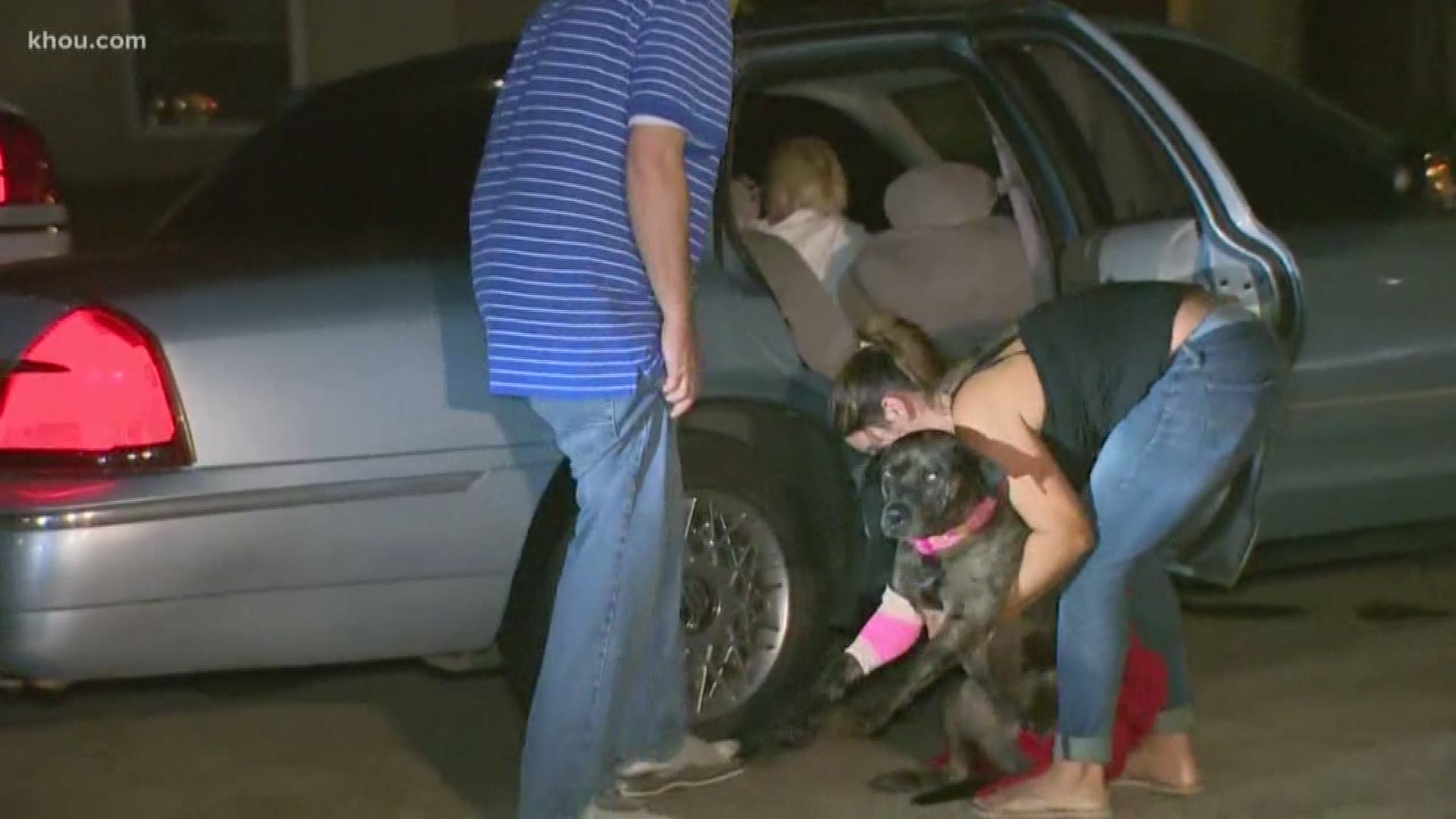 A family dog tried to protect her family as gunmen held a father down during a home invasion overnight.