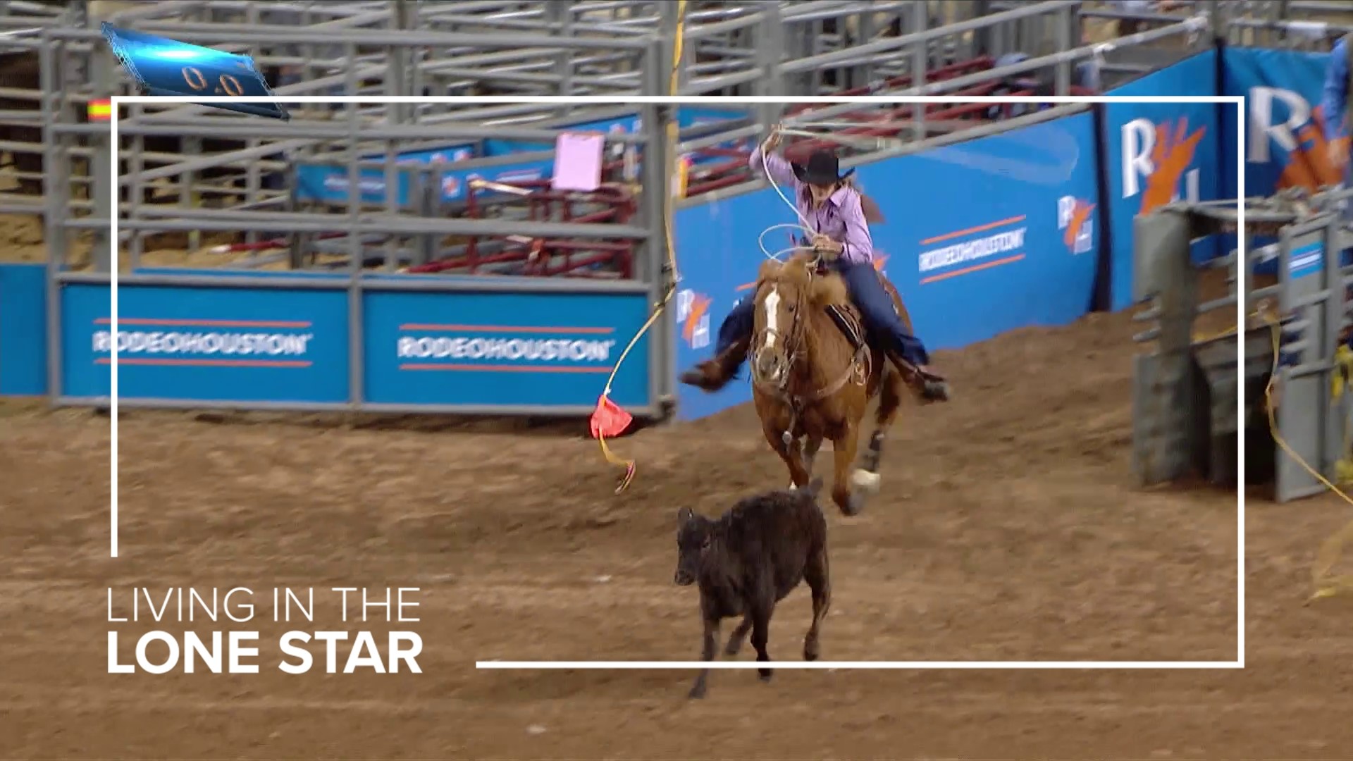 As a barrel racer, Taylor Hanchey came down the alley. Now she's shooting out of the box, trying to rope a calf in about 2 seconds.