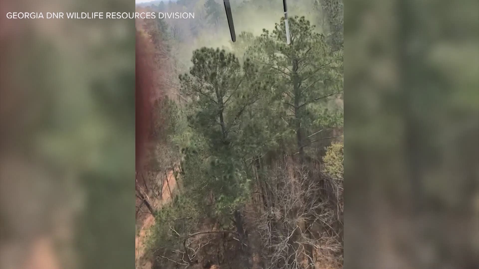 A video posted to Facebook from The Wildlife Resources Division of the Georgia Department of Natural Resources shows a helicopter kicking up large amounts of pollen from trees.