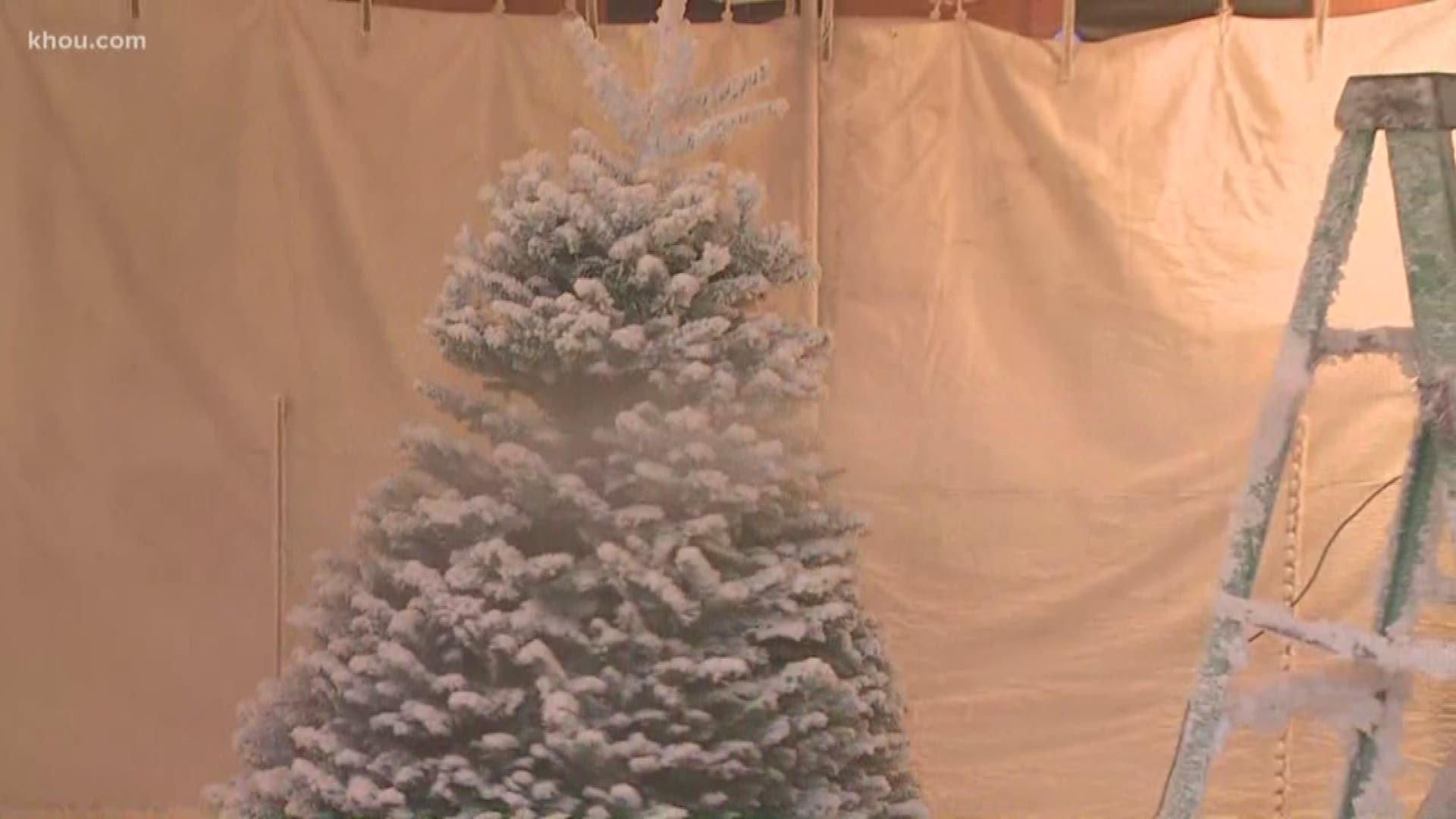 Still sprucing up your home for the holidays but aren't sure how to choose the best Christmas tree to deck the halls?