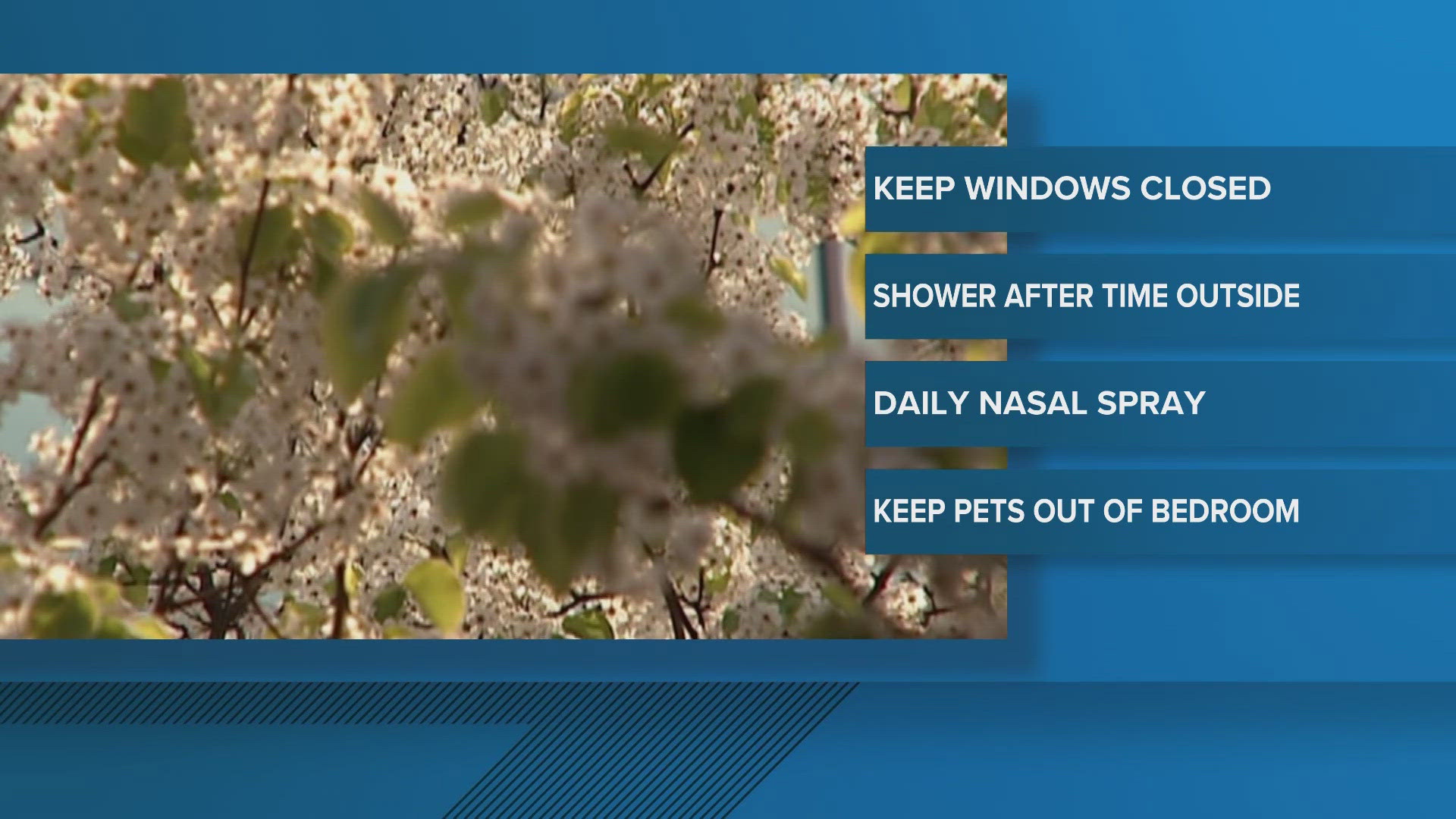 Pollen levels remain high this week and here are a few tips to keep it out of your home.