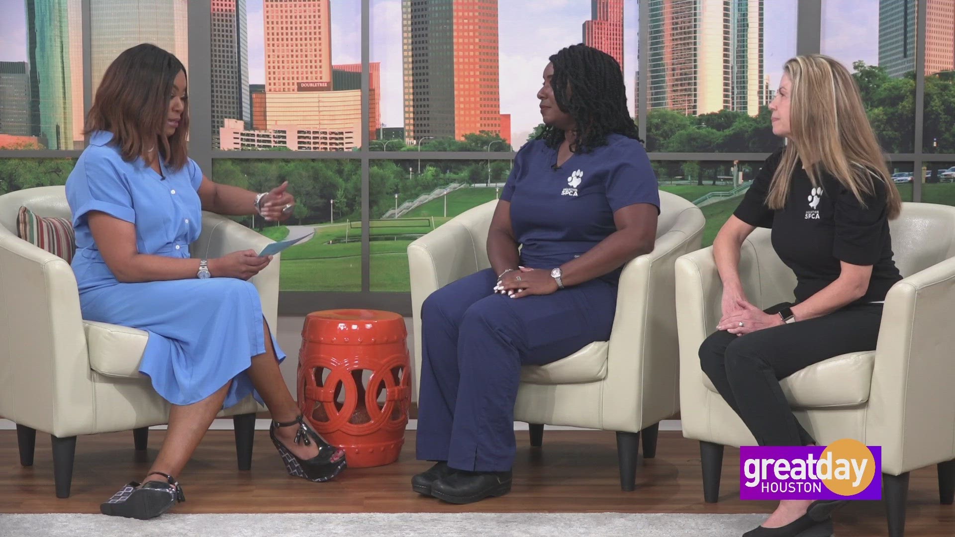 Program Check Spac Com Houston SPCA offers a program to help animals be comfortable on their ...