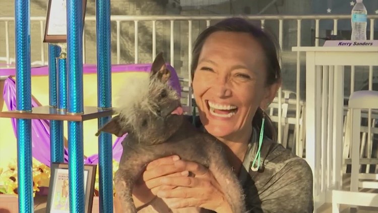 Meet Mr. Happy Face: World's ugliest dog crowned