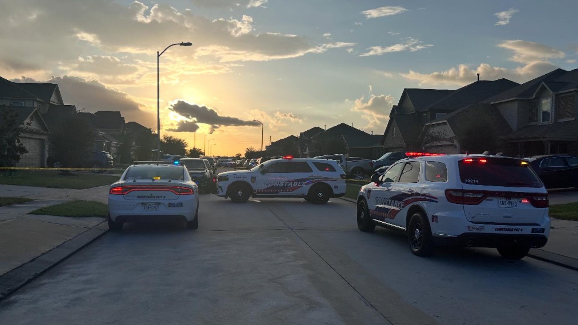 Texas teens arrested in Galveston County grandmother's shooting death