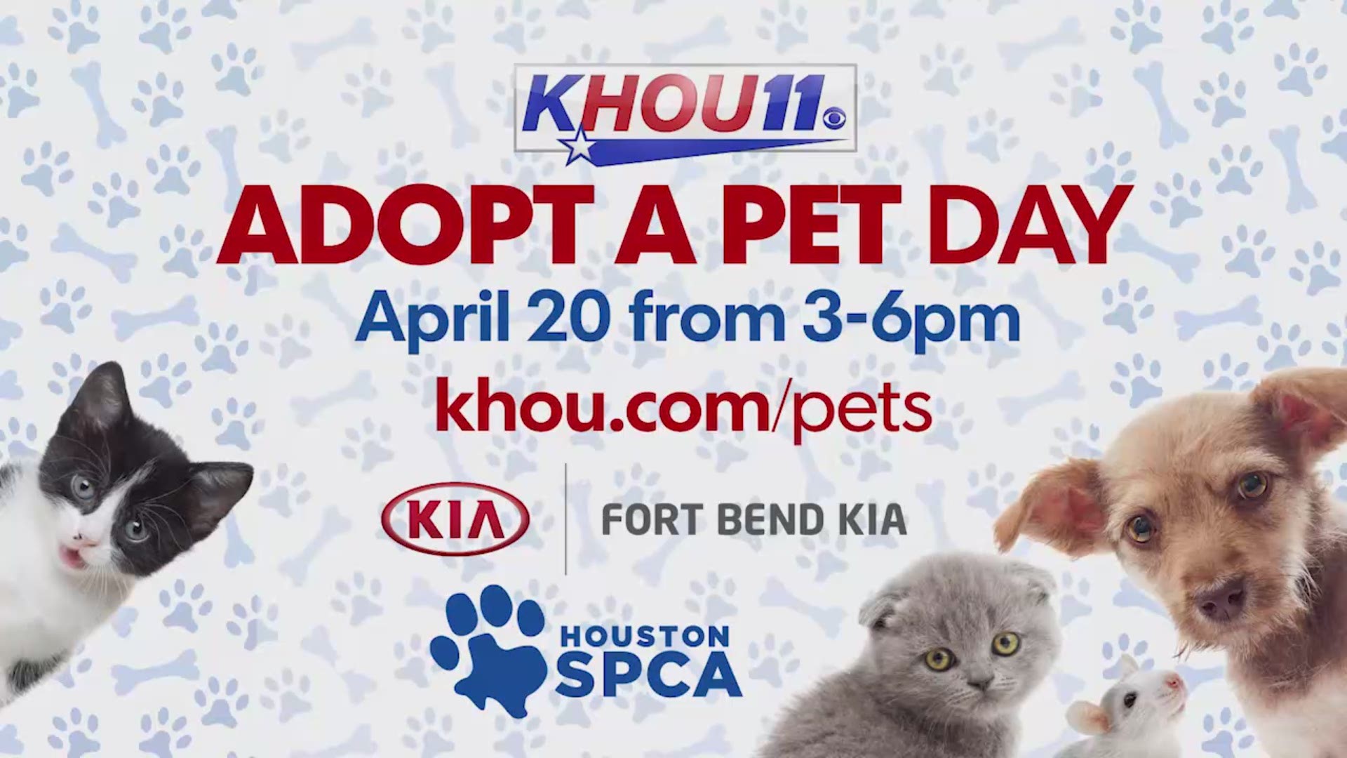 Join us for the KHOU 11 Adopt-a-Pet event on April 20, 2018 from 3-6 p.m. at the Houston SPCA. We are helping our furry friends find new and loving homes. 