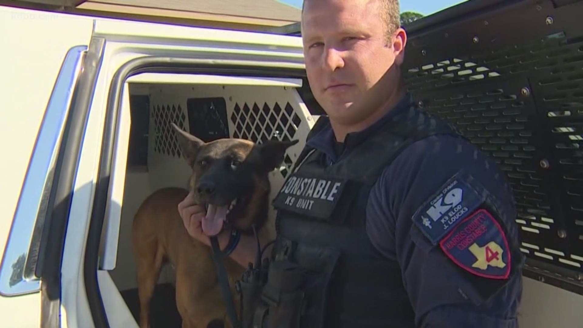Proposition 10 allows K-9s and other law enforcement animals to more easily remain with their handlers