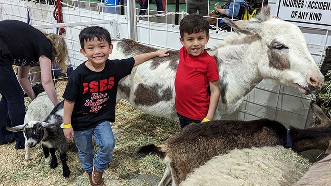 Houston Rodeo Bag Policy: What is not allowed | khou.com