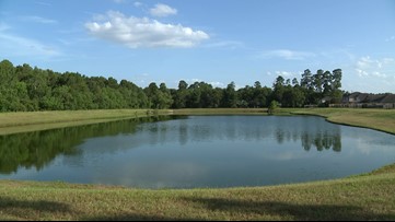 Residents wondering who's to blame after sewage kills dozens of fish in NW Houston community pond