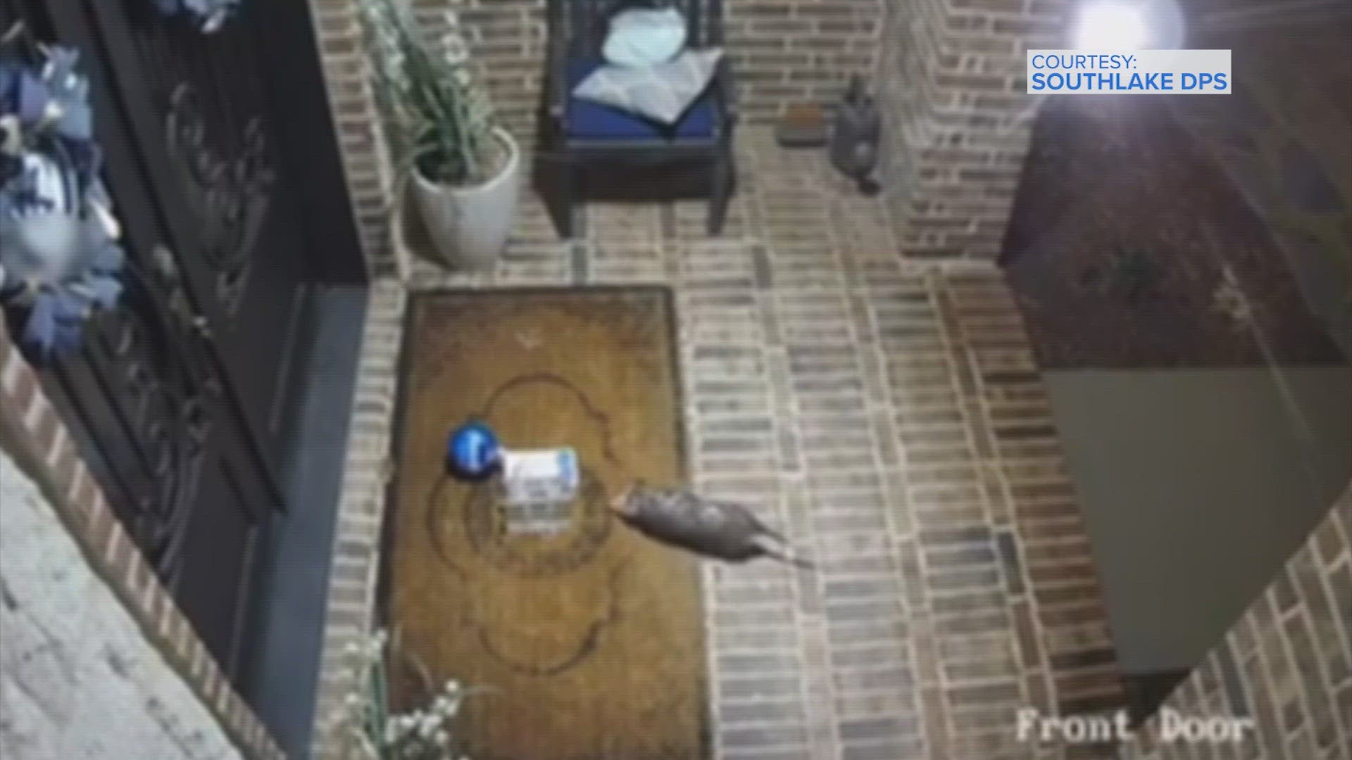 The Southlake Department of Public Safety released surveillance video from Jan. 27, 2024, showing a possum stealing a Tiff's Treats package off a porch in Texas.