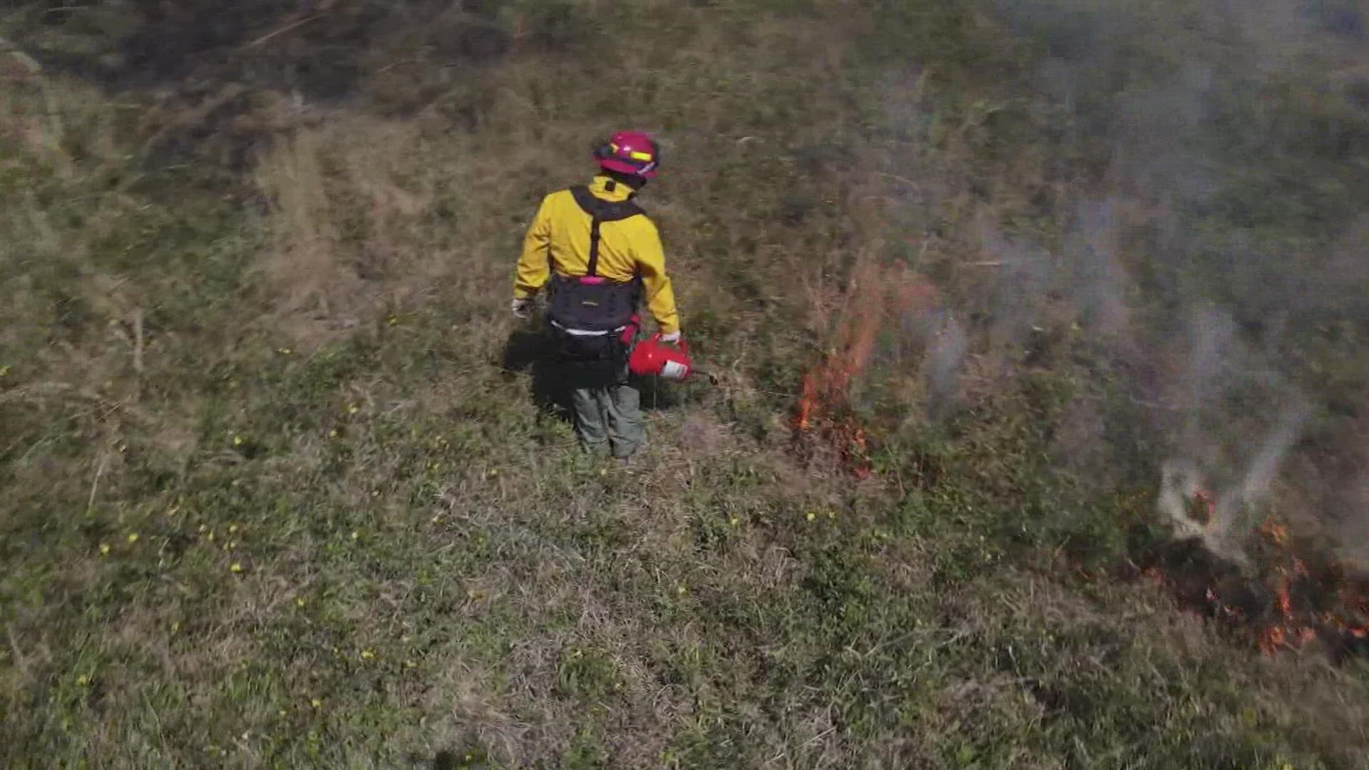 Several fires were set intentionally at Houston Arboretum as part of a prescribed burn. The goal of this controlled burn is to protect the surrounding areas.