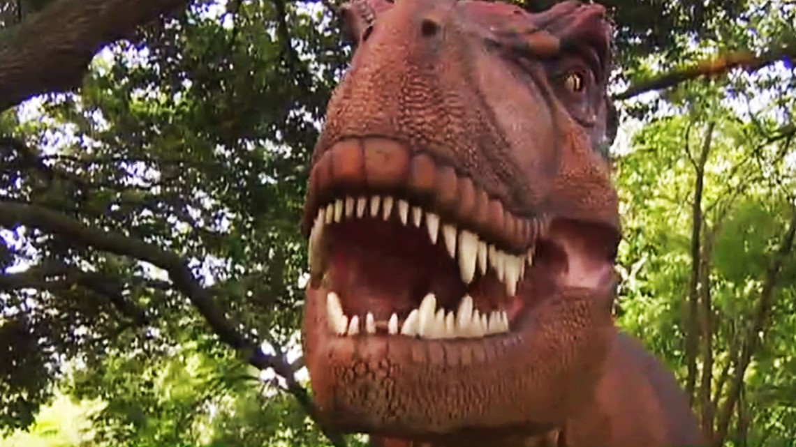 Life Like Dinosaurs Move Into Houston Zoo For The Summer Khou Com