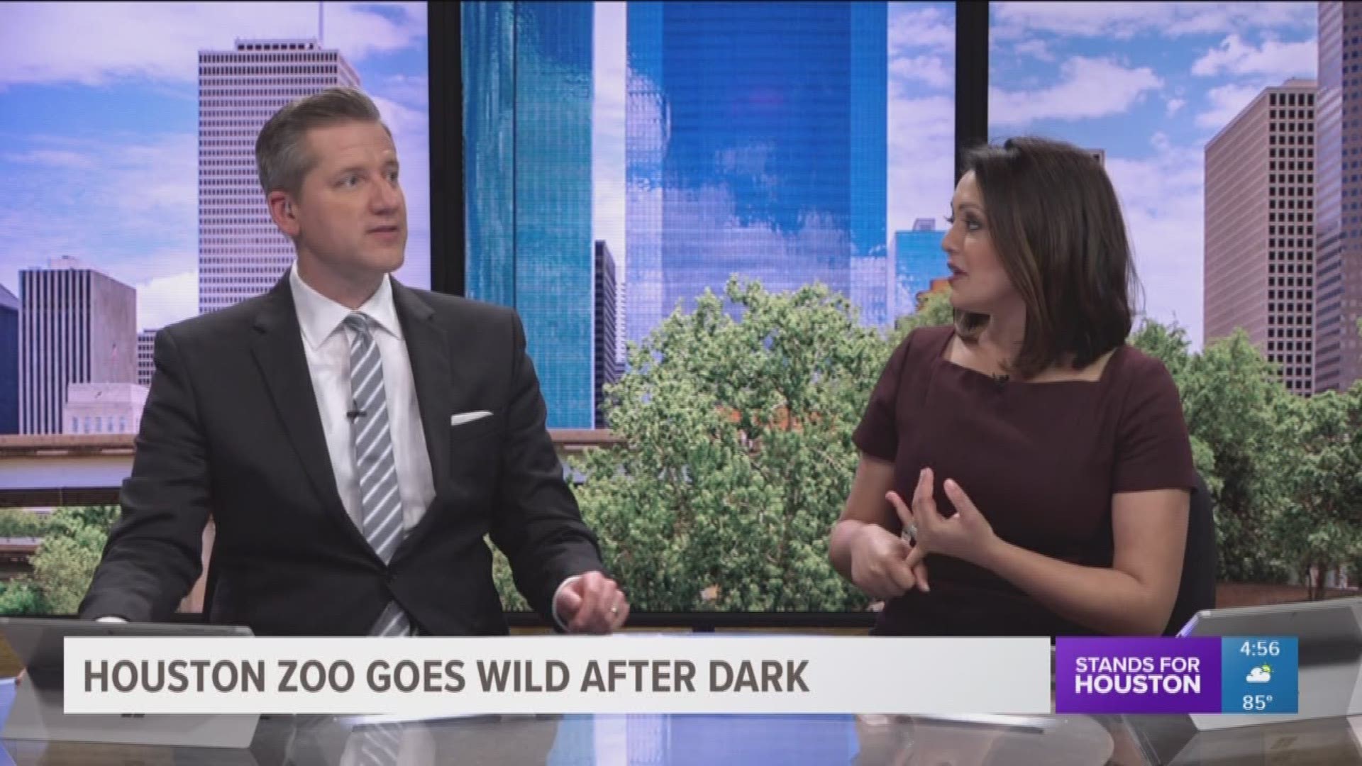 For three nights this summer, the Houston Zoo is giving adult visitors a chance to see the animals, and additional entertainment, after hours.
