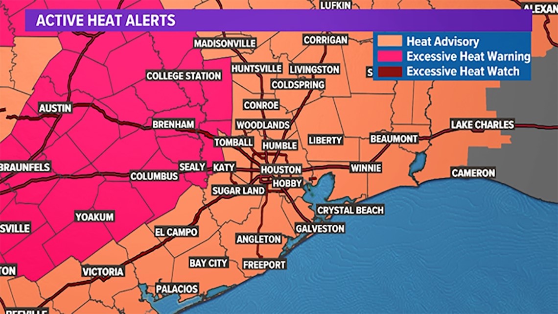 Texas City teen still in hospital after rattlesnake bite on Galveston beach