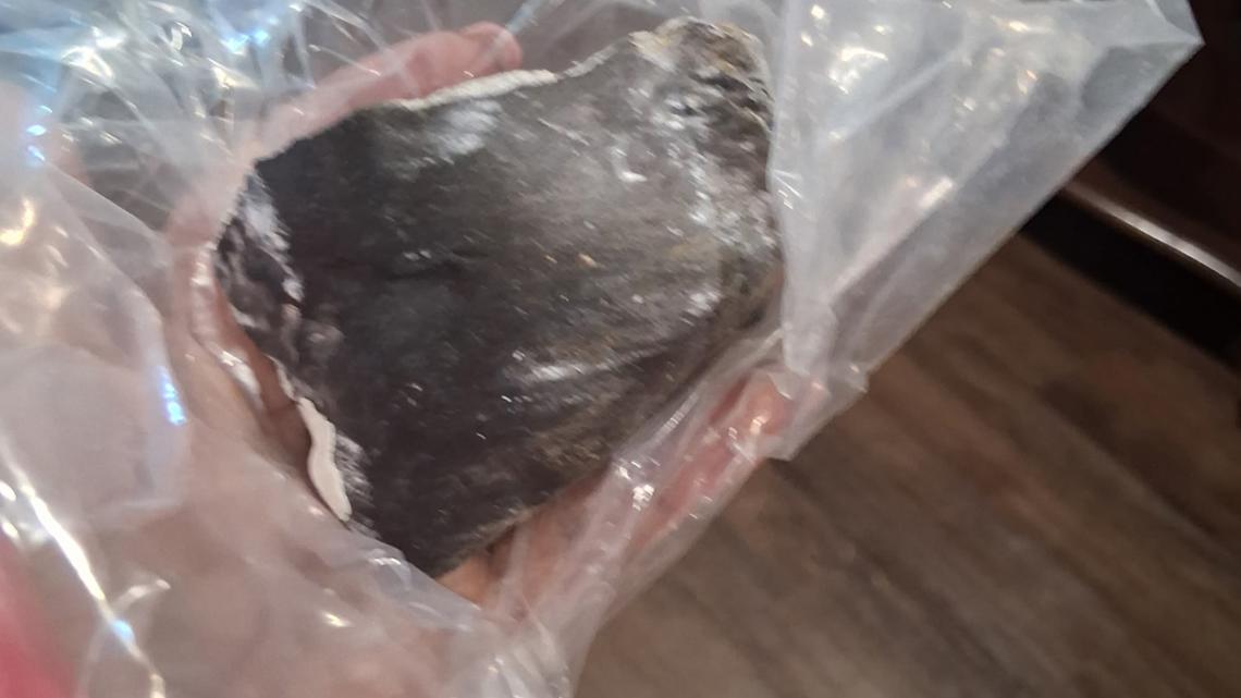 Did a meteor hit her home? Houston-area woman says object crashed through roof