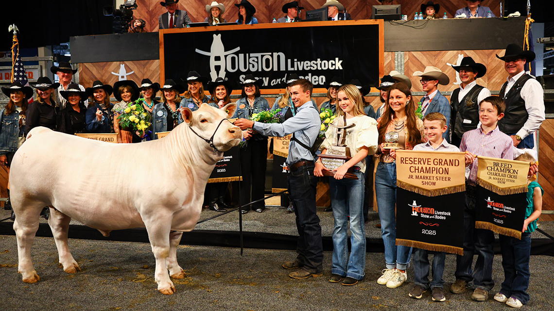 RodeoHouston steer auction: Grand Champion sells for $675K | khou.com