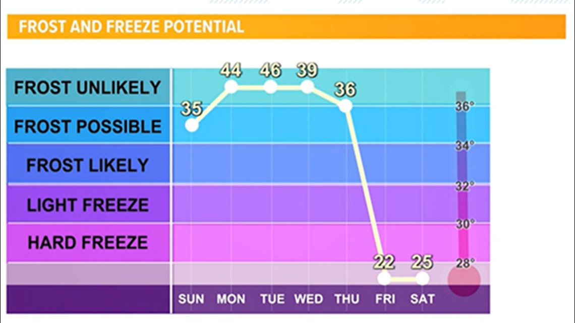 Arctic blast headed to Houston area. Here's what you need to know ...