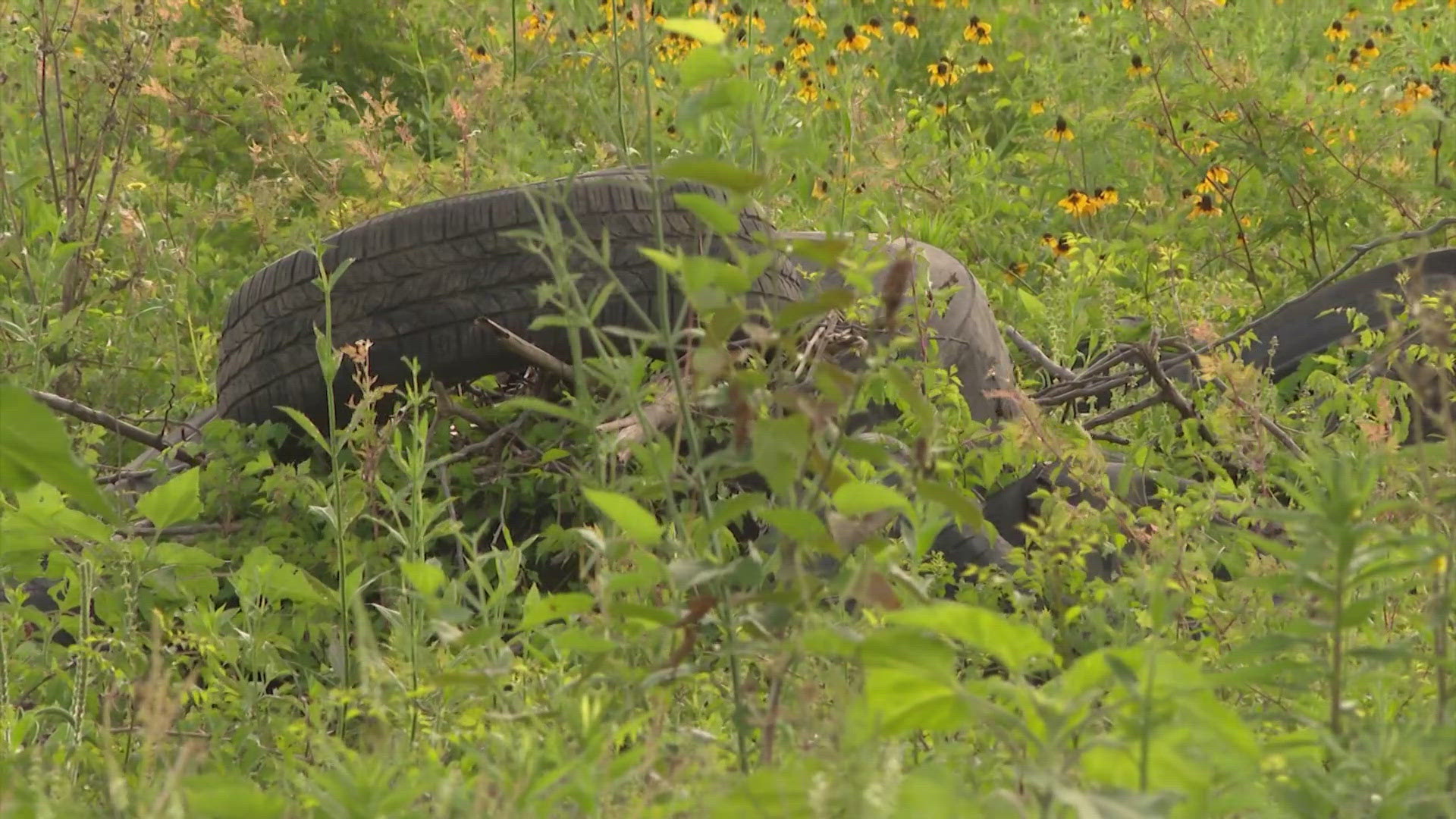 Houston tackles illegal dumping on Buffalo Speedway | khou.com
