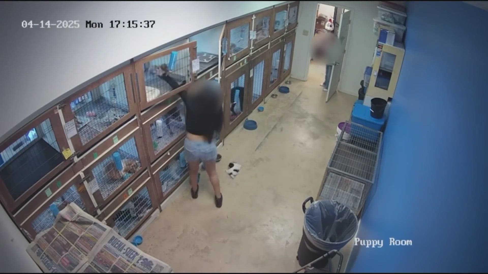 It happened at Pet Place, located on Beamer Road near San Jacinto College South and the Gulf Freeway.