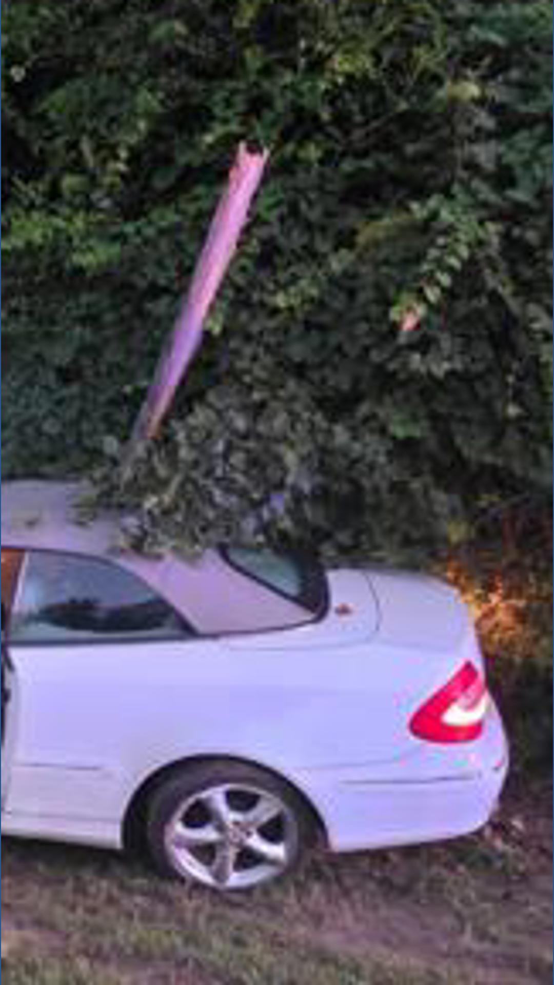 Driver hospitalized after vehicle crashes into utility pole in The ...