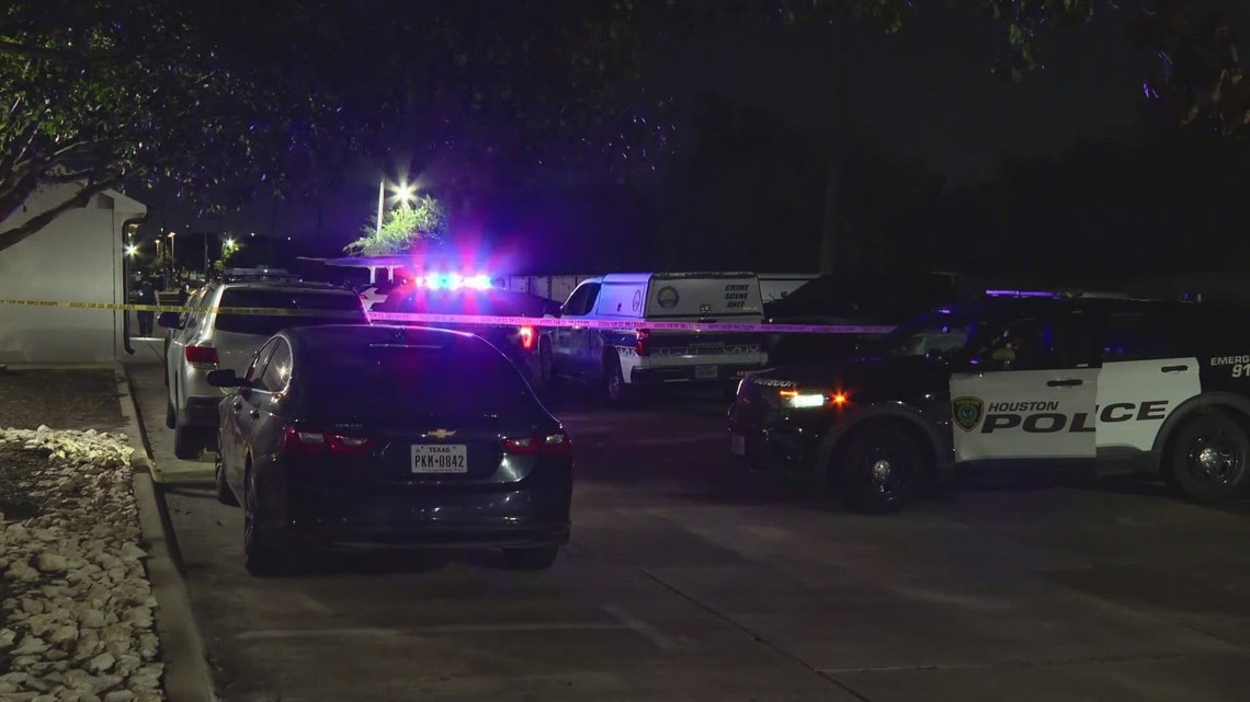 13-year-old boy shot and killed, 16-year-old brother wounded in ...