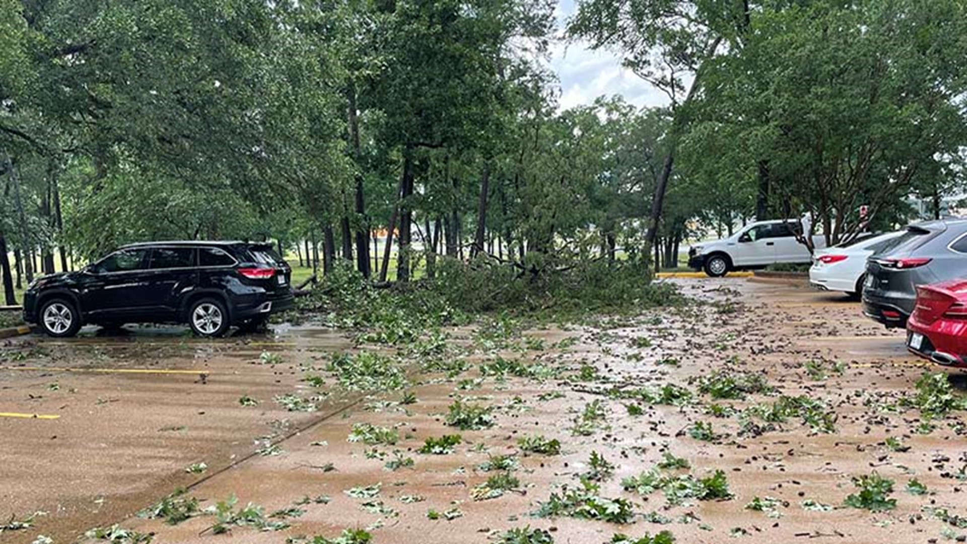 Storm Causes Damage In Montgomery, Walker Counties | Houston News ...