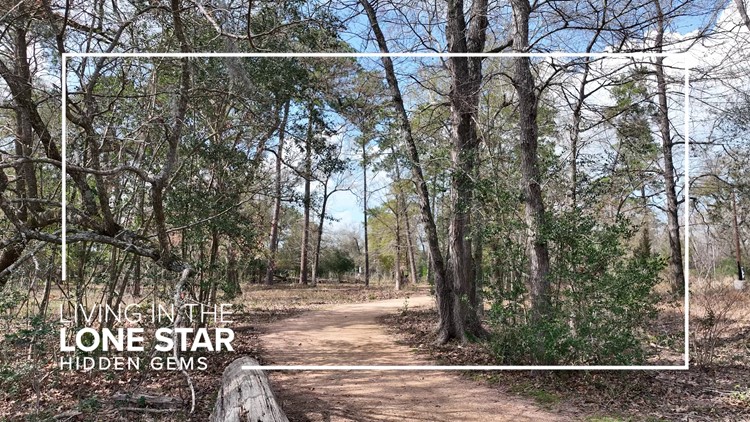 'We are a very biodiverse space' | Explore the Houston Arboretum