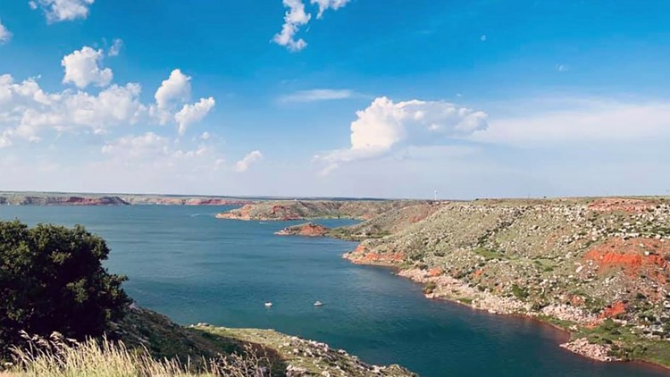 Read Wildlife officials sound the alarm over Texas lake 'infested' with invasive species