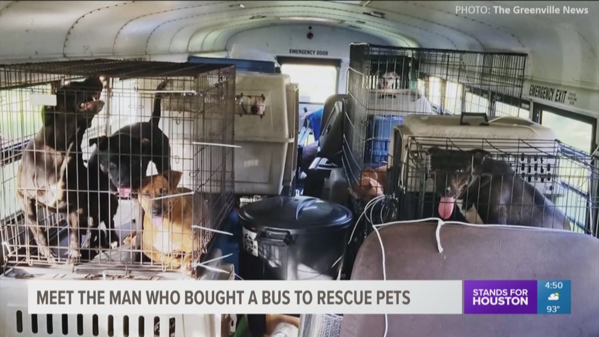 In the wake of Florence one animal lover is going above and beyond to make sure homeless pets aren't left behind. A trucker named Tony bought a school bus and filled it with cats and dogs from shelters in the storm zone. 