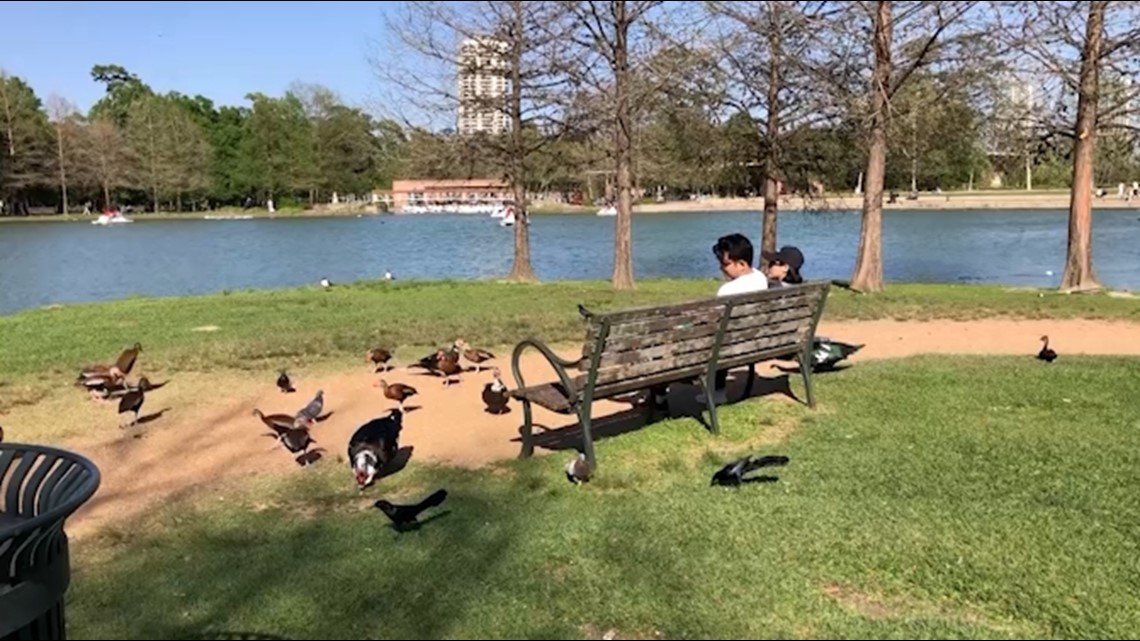 Berhenti memberi makan bebek di Hermann Park di Houston, Texas
