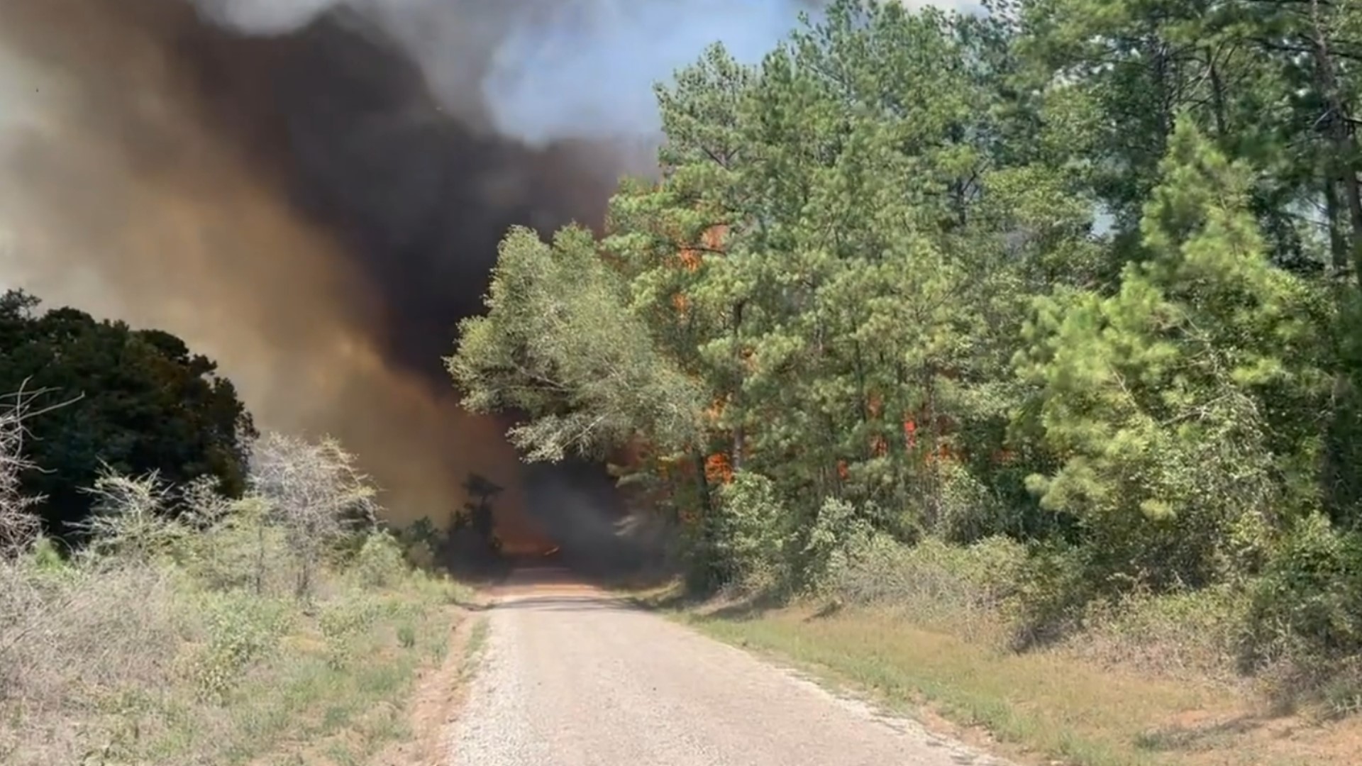 Texas Aandm Forest Services Manages Wildfire Response Efforts 8758