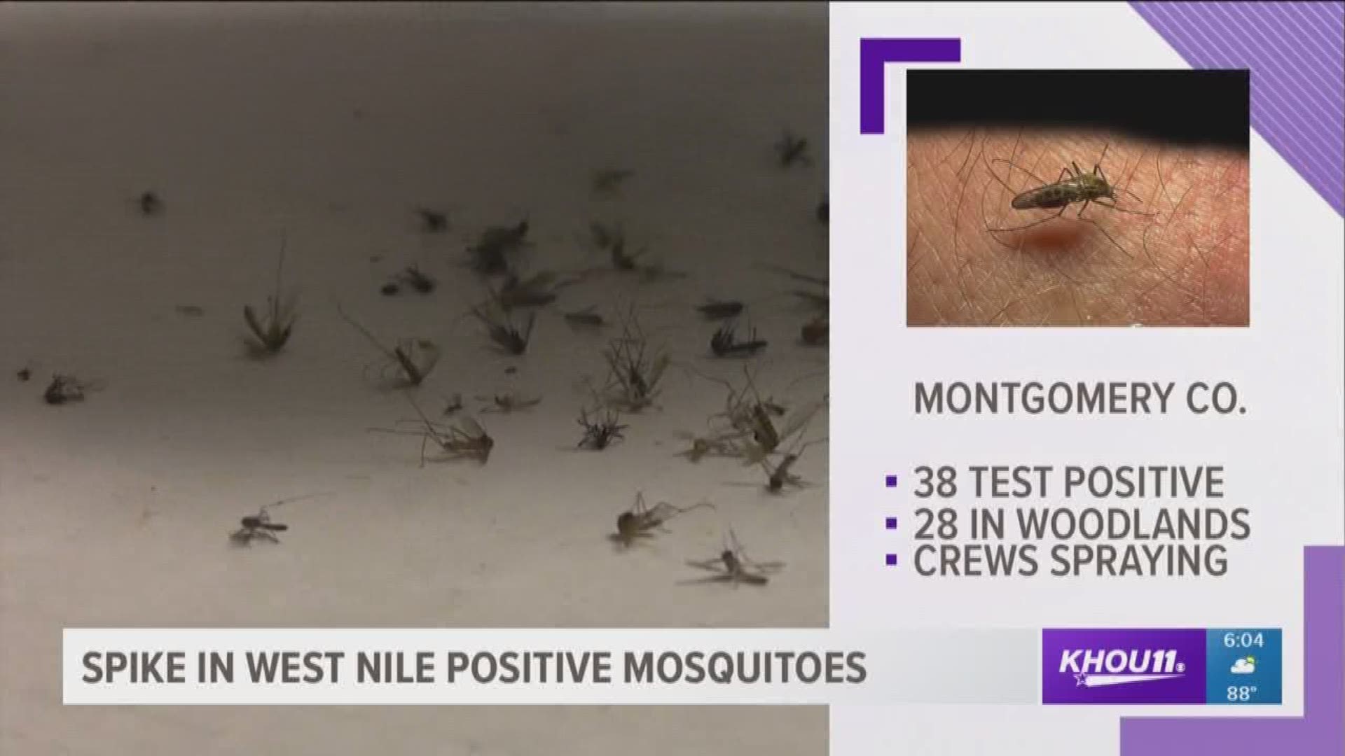 Montgomery County officials warn of spike in West Nile positive mosquitoes
