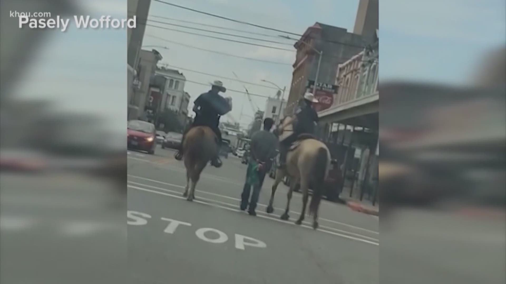 The Texas Rangers said Friday there will be no criminal investigation into the arrest of a man who was tied to a rope by mounted officers in Galveston earlier this month. Donald Neely's Aug. 3 arrest garnered attention across the county, as he was seen attached to a line and walking down a street between two mounted officers' horses.