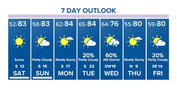 Houston forecast: Dry conditions and extreme tree pollen levels