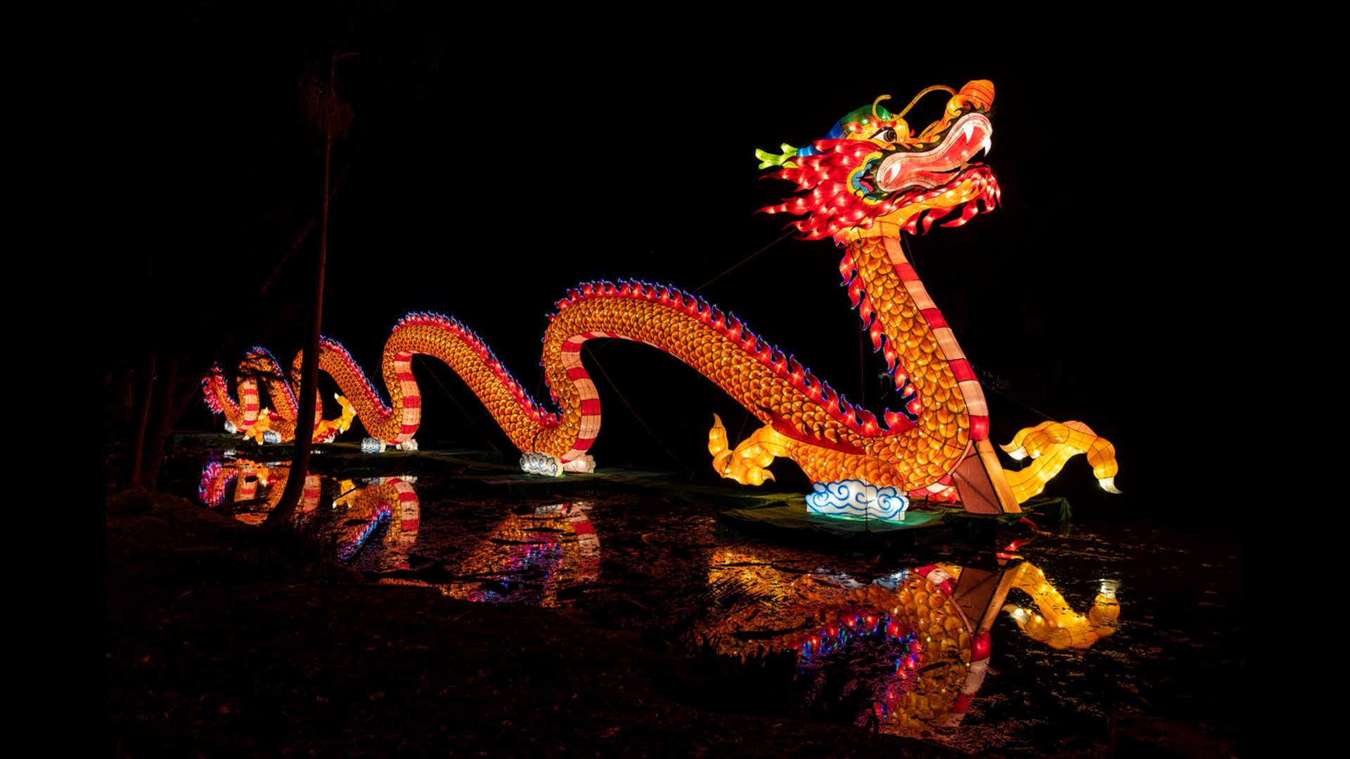 Light display celebrates Chinese and Texas culture.