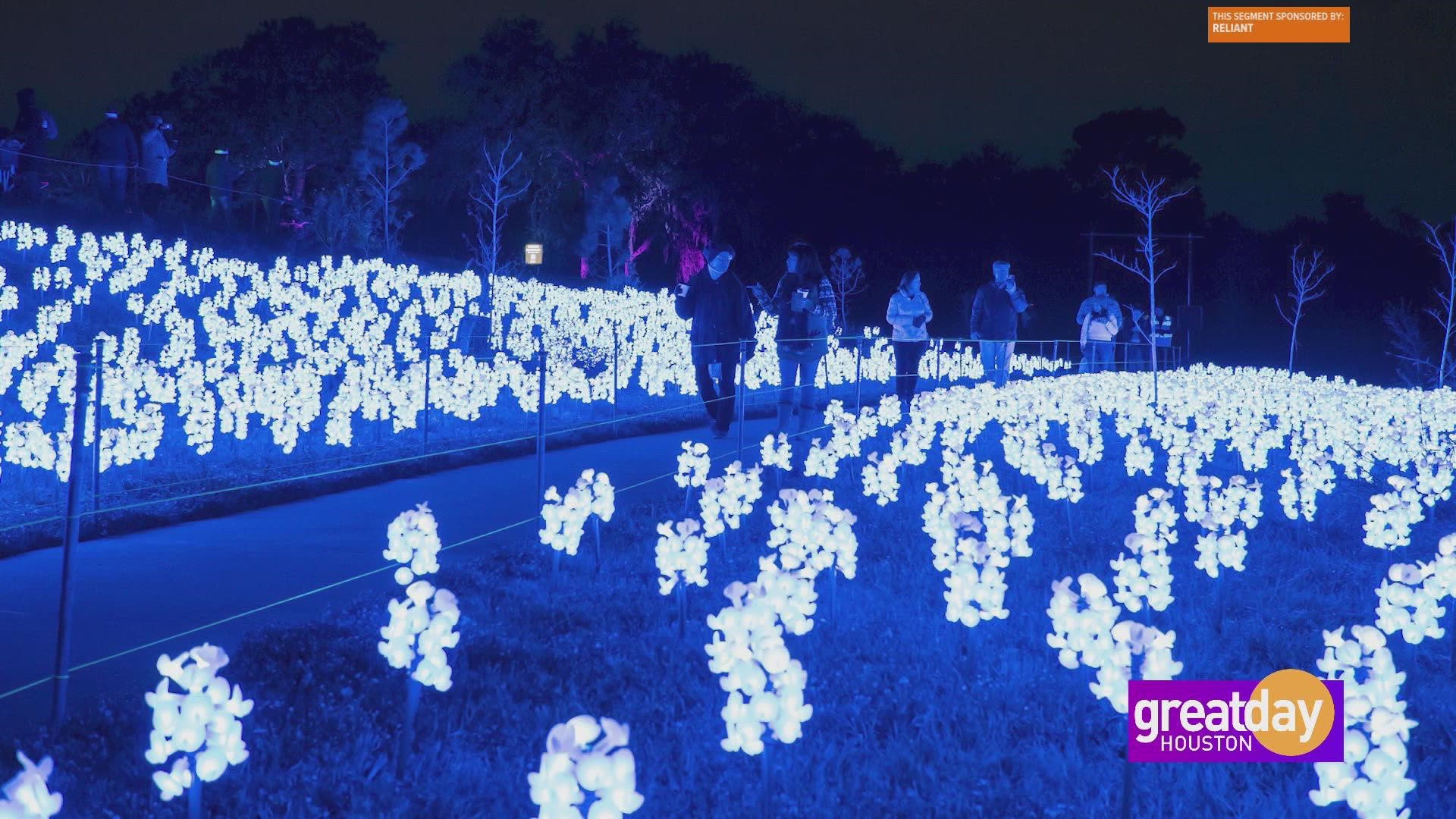 Get in the holiday spirit with two special events presented by Reliant. Lightscape at the Houston Botanic Garden and Galaxy of Lights at Space Center Houston.